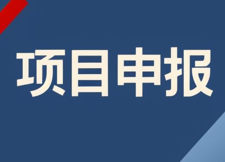 如何评估政府项目申报的效果？