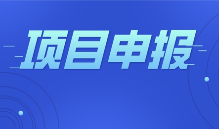 怎么来评估政府项目申报的不确定性因素？